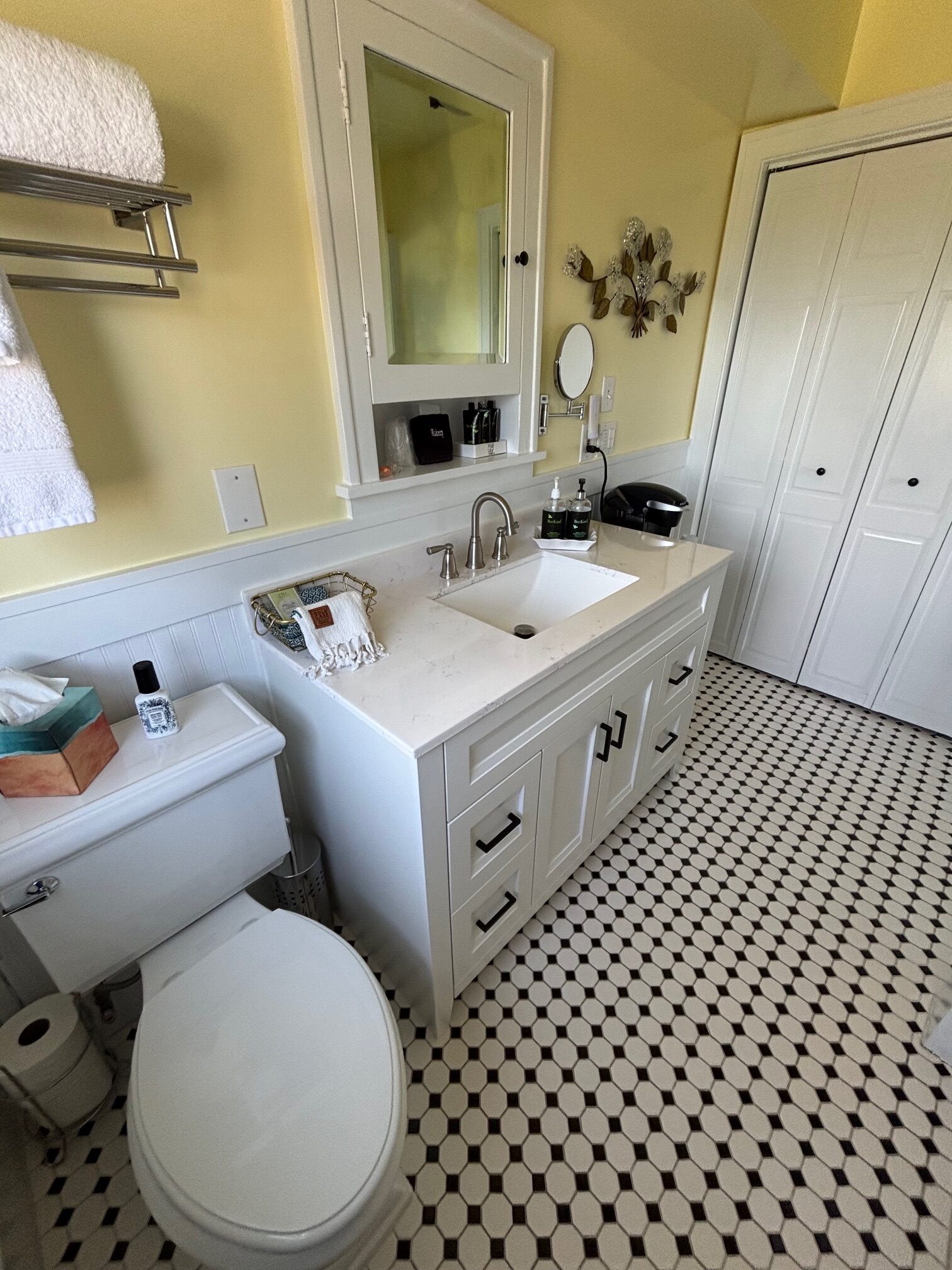 Delia Suite bathroom vanity and toilet